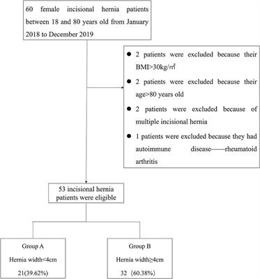 Quantitative Analysis of Abdominal Muscles Using Elastography in Female Patients With Incisional Hernia